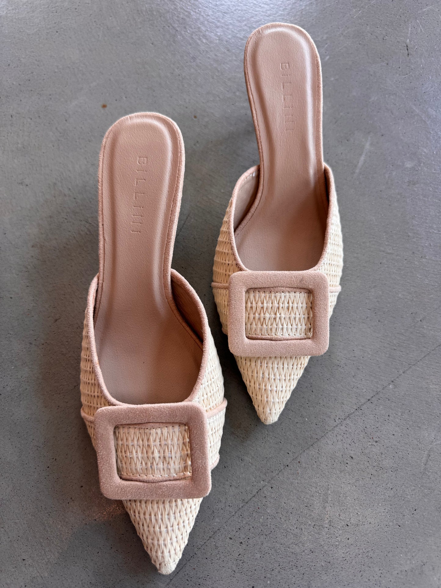 Yorkie Heel